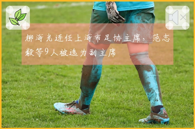柳海光连任上海市足协主席，范志毅等9人被选为副主席