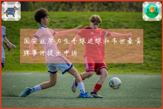 国安就廖力生手球进球和韦世豪黄牌事件提出申诉